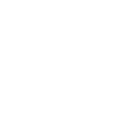 donohoeshowjumping